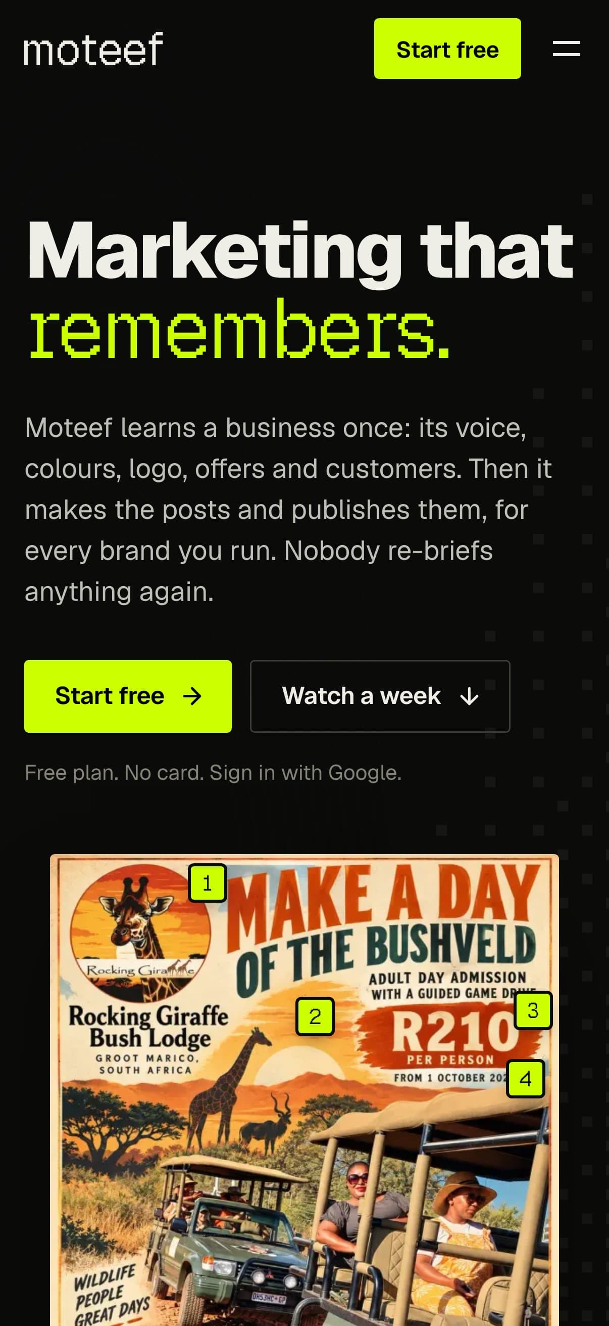 Moteef: moteef.ai on a phone