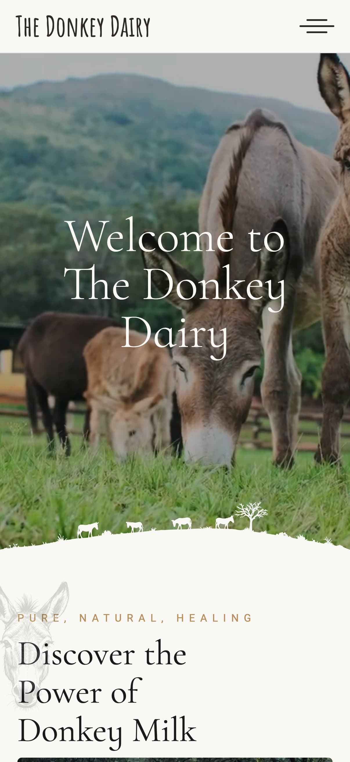 The Donkey Dairy: Home on a phone