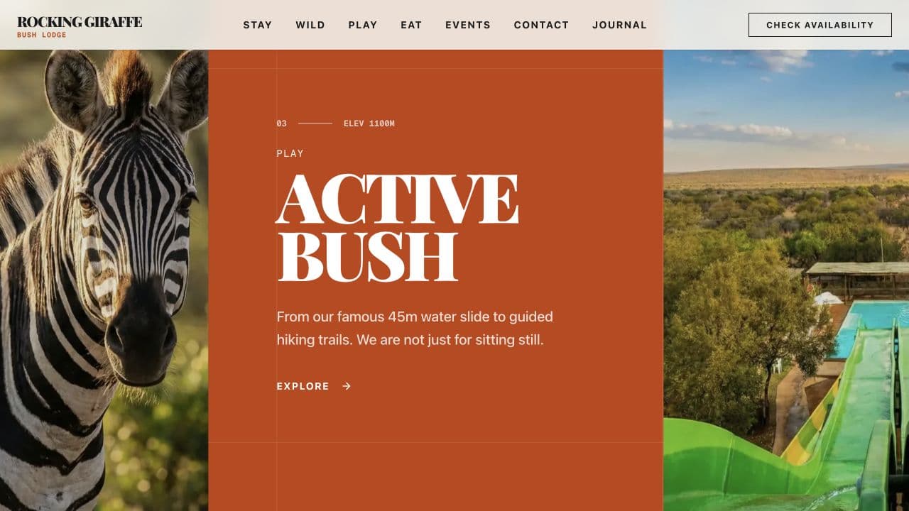 Rocking Giraffe Bush Lodge website — Active bush