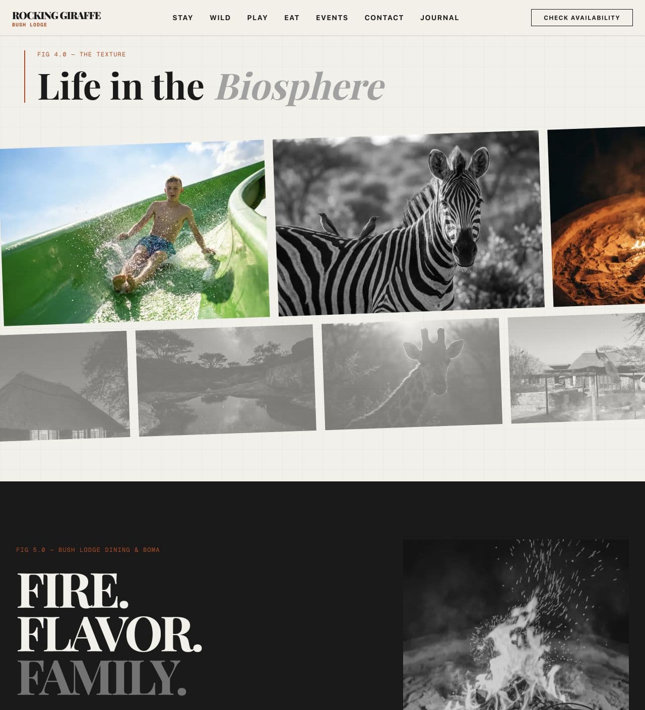 Rocking Giraffe Bush Lodge website — Life in the biosphere